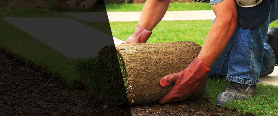 Bryant Landscapers